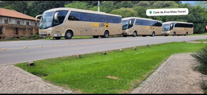 Saídas pedagogicas